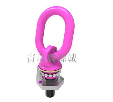 德國RUD吊環(huán)/ VWBG-V- M8-M64螺栓型旋轉吊環(huán) /進口原裝路德/旋轉吊環(huán)